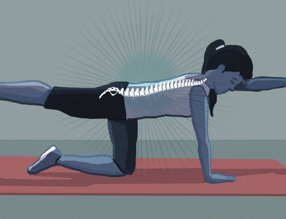 Patient Education For Low Back Pain Can Be A Game Changer For Quality Of Life